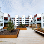Thages-4274.jpg