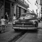 Kuba-1026225.jpg