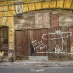 Kuba-1026227.jpg