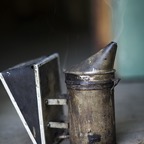 REPORTAGE37.jpg